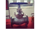 Globe Valve Manufacturers in India